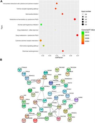 Identification of copy number variants contributing to hallux valgus